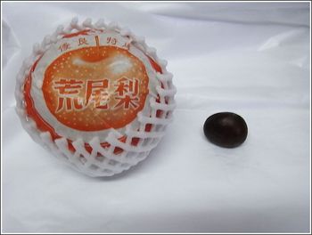 荒尾ジャンボ新高梨
