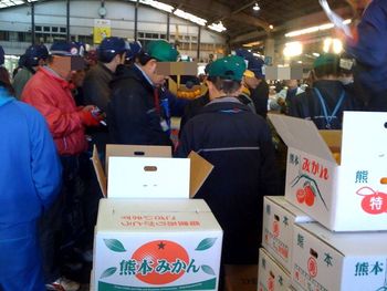 みかんのセリは激戦