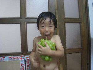 あさがお