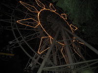 夜の動植物園