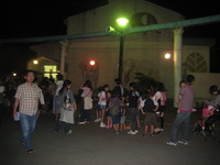 夜の動植物園