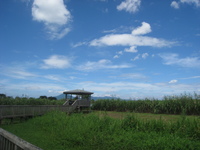 江津湖公園＆立田山憩の森