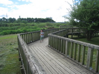 江津湖公園＆立田山憩の森