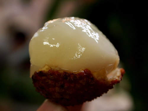 楊貴妃が愛した果物