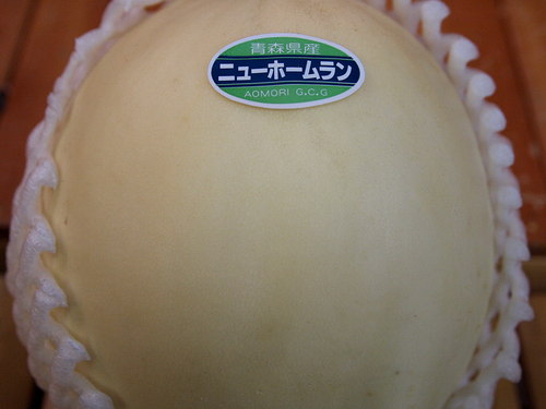 北国から届いたニューホームランメロン