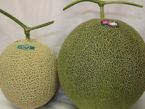 キングサイズと一緒に