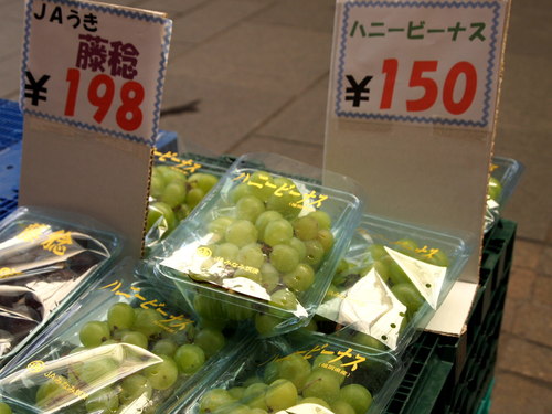 本日全品売りつくし!