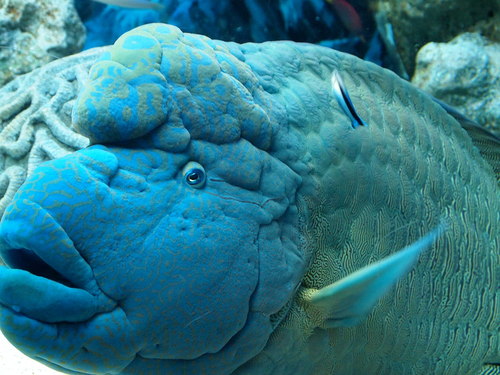 家族で水族館へ