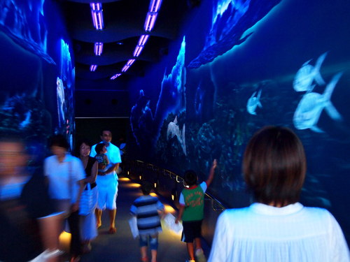 家族で水族館へ