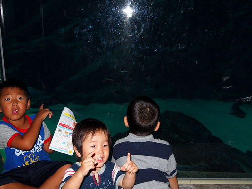 家族で水族館へ