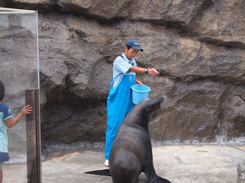 家族で水族館へ