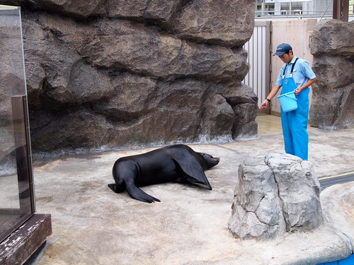 家族で水族館へ