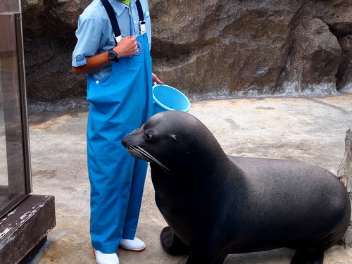 家族で水族館へ