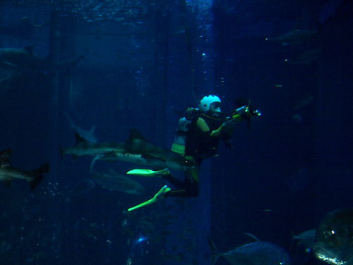 家族で水族館へ
