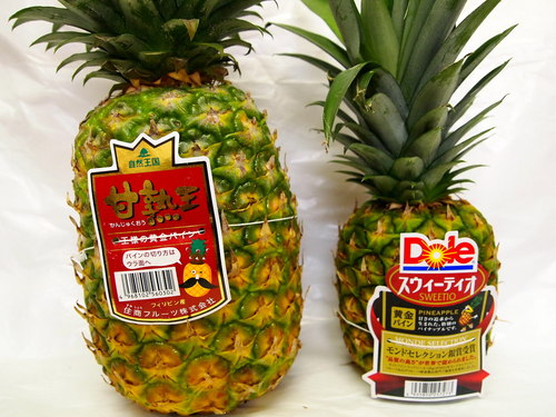 特大ネタ