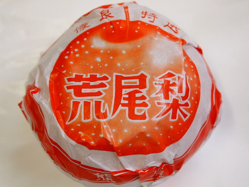 さすがの荒尾