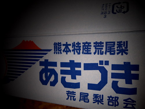 さすがの荒尾