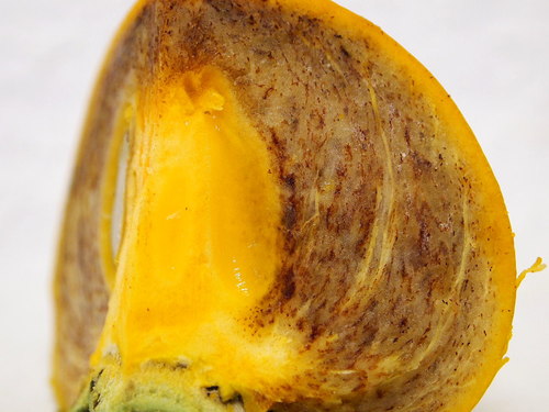 秋の味覚!柿が登場!