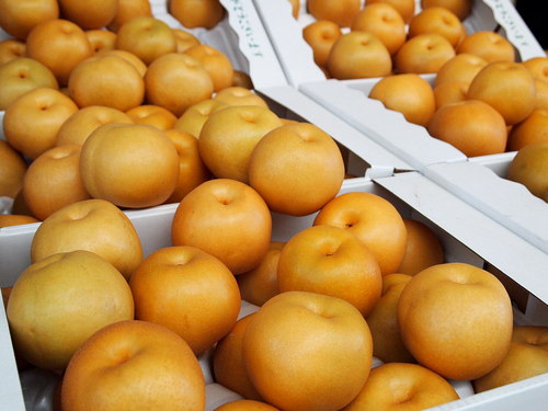 今日の目玉商品!