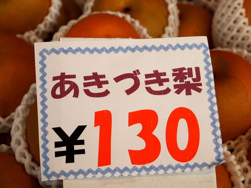 今日の目玉商品!
