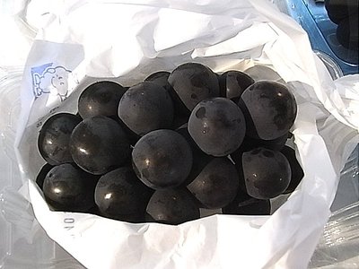 博多ピオーネ入荷
