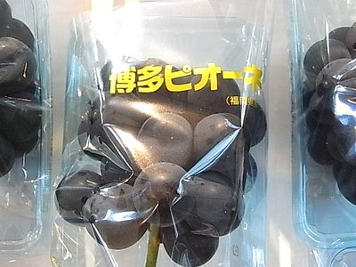 博多ピオーネ入荷