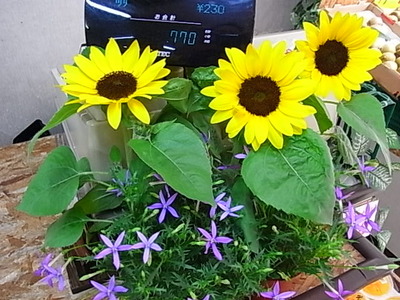 レジ花　その2