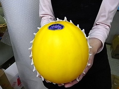 メロンの種類