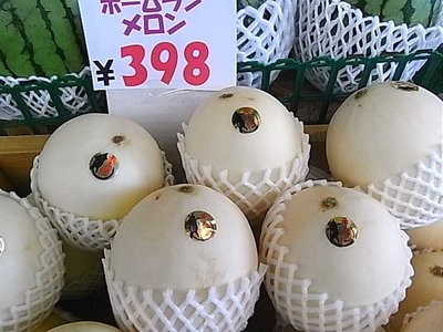 メロンの種類