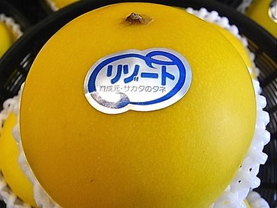 メロンの種類
