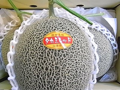 メロンの種類