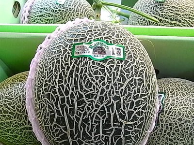 メロンの種類