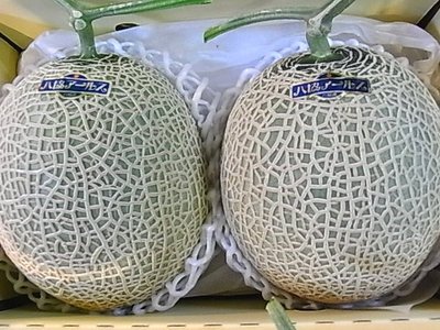 メロンの種類