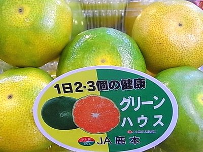 グリーンハウスみかん入荷