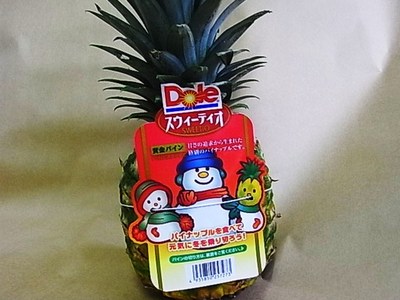 ウインターパイン