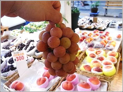安芸クイーンの美味しさは異常