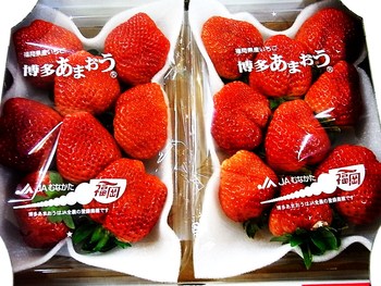 博多あまおう