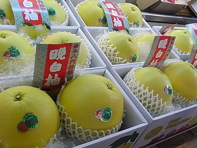 晩白柚再入荷