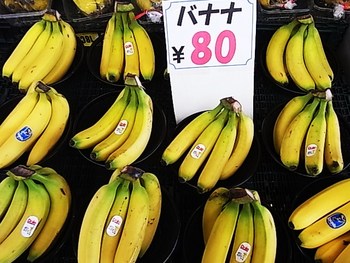 負けてられませんよ