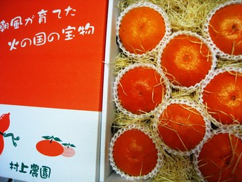 紅甘 甘平(かんぺい)
