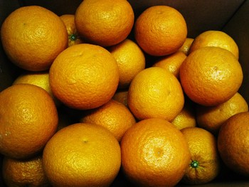 こちらも紅があります。
