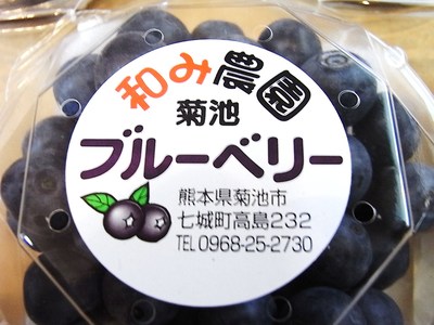 和み農園さんのブルーベリー