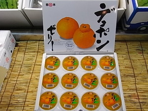 デコポンゼリー