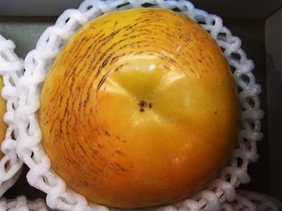 二代目おすすめ秋の味覚 柿とリンゴ