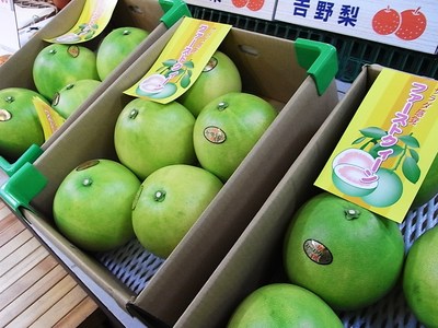 ファーストクイーン先行販売