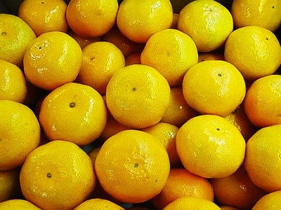 サンゴみかん