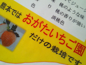 桃薫、再び