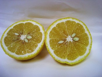 サラダみかんと謎の紙