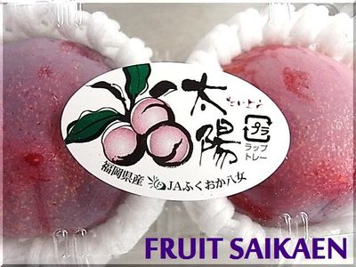 桃とかスモモとか…