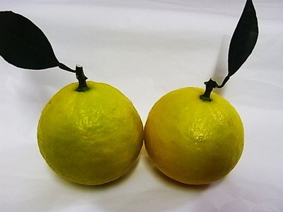 ハウス日向夏